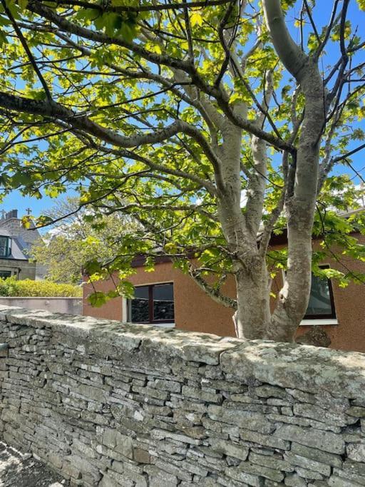 Cosy Cottage In Kveldrso Gardens Lerwick Exterior foto